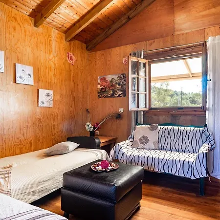 Dom wakacyjny Wooden House *