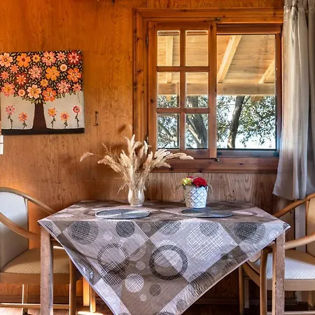 Wooden House *