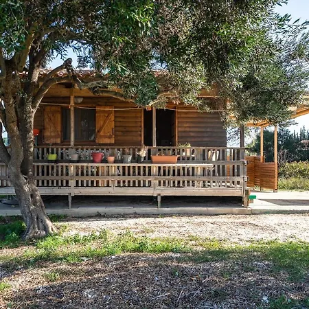 Wooden House *